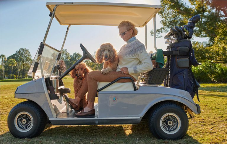 A Private Community in Florida Mountain Lake